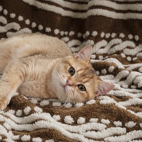 Image of Wonderful Tufted Boho Comforter Queen, 3 Piece Flanel Fair Isle Geometric Jacquard Lightweight Comforter with Washed Brushed Backing, Skin-Friendly Rustic Plush Blanket for All Season, Brown, 90 inchx90 inch