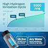 Hydrogen Water Bottle | 16.2 oz (480 ml) Hydrogen Water Generator | 6000 PPB Hydrogenator Machine | SPE/PEM Ionizer Generator (Black)