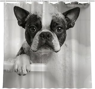 Cute Boston Terrier Bubble Bath Shower Curtain Set Durable Waterproof Fabric Funny Pet Black and White Animal Kids Interesting Bathroom Decor 72x72inch with 12 Hooks