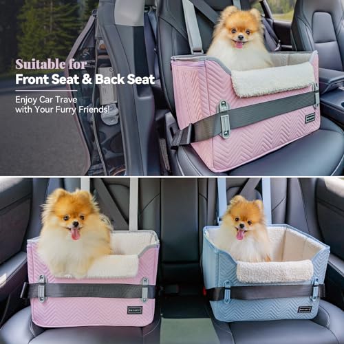 Koera autoistmekate – tugev, pestav (Petsfit)