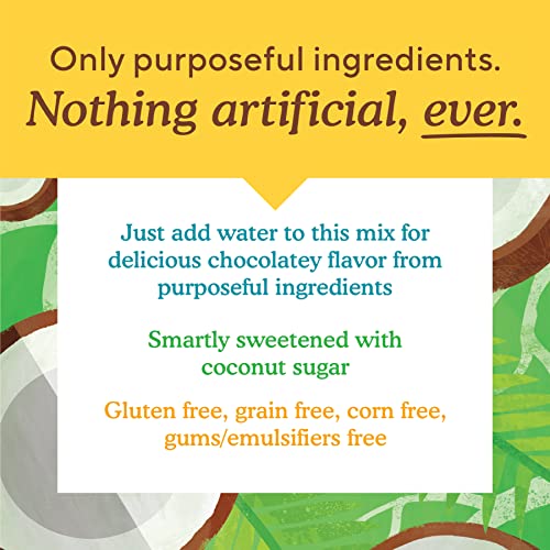 Simple Mills Cocoa Pancake And Waffle Mix, Just Add Water, Gluten Free, Paleo Friendly, Breakfast, 10 Oz (1 Pack) #TOP1