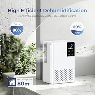Deumidificatore 2500ML, Deumidificatore Casa Muffa Elettrico, Ultra Silenzioso, Spegnimento Automatico, Purificatore Dell'aria, Contro Umidità e Muffa per Camera da Letto (Bianco)