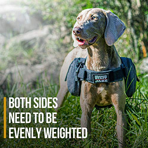 Onetigris Dog Pack Hound Travel Camping Hiking Backpack With Training Bungee Leash (Black, M) #TOP5