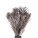 Brrnoo 2Pcs Retractable Duster, Washable Microfiber Duster for Dust and Cobweb All Round Home, Feathers Duster