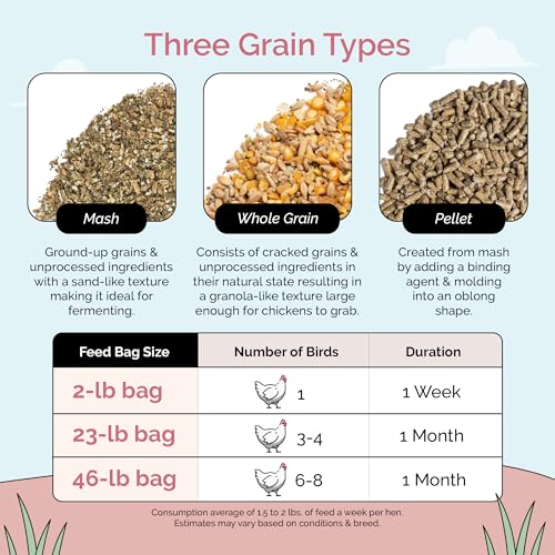 Mile Four Organic Chicken Feed – Layer Mash, Non-GMO, USA Grown, 16% Protein, Corn-Free, Soy-Free, Non-Medicated Feed for Chickens, 2 lbs Sample