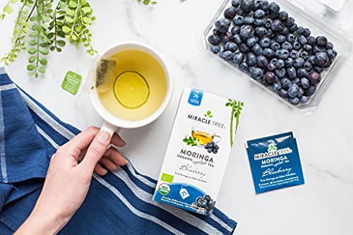 Miracle Tree - Organic Moringa Superfood Tea, 25 Individually Sealed Tea Bags, Blueberry (Keto, Detox, Energy & Immunity Booster, Vegan, Gluten-Free, Organic, Non-GMO, Caffeine-Free)
