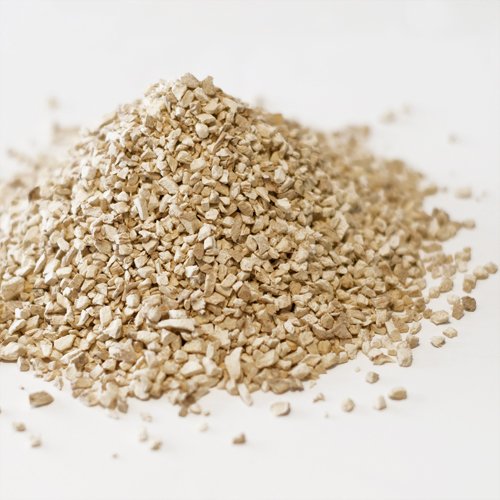 yƖpzWW[~Xy500gz/XpCXEn[uEhE