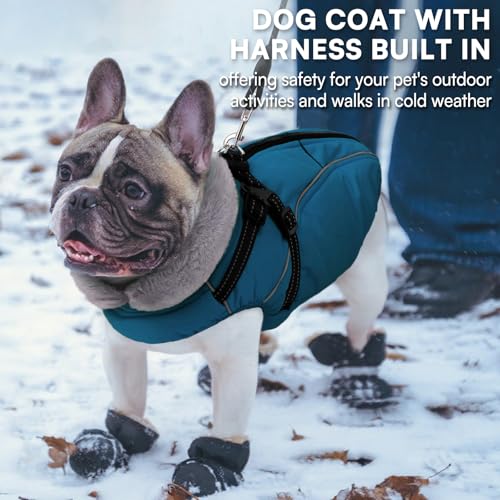 Queenmore Hundejacke Kleine Hunde Winter, Hundemantel Reflektierend Wasserdicht, Hunde Fleecemantel für Dackel/Cockapoo/Spielzeugpudel/Welpen(Coelinblau, S)