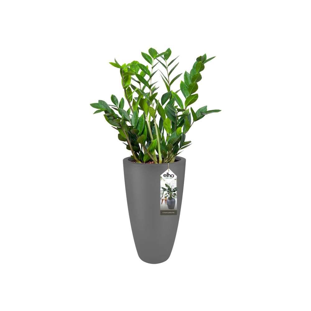 Übertopf Vaso Portavaso Rotondo Pure - 25 Cm Di Diametro - Colore Antracite - In Polipropilene (PP) Resistente