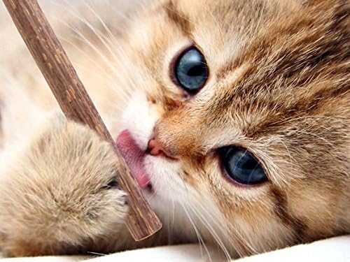 MEW Cat Stick Chew Toy Peppermint Grinding Stick For Cat Cleaning Teeth Pure Natural Toys Pet Product