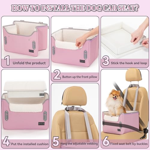 Koera autoistmekate – tugev, pestav (Petsfit)