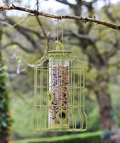 Garden Mile Wild Garden - Mangiatoia per uccelli, ideale per semi di uccelli selvatici, suet o vermi di farina e altri alimenti per uccelli selvatici