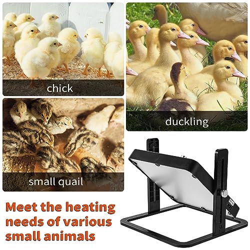 Ziopetru 0025 Chicken Brooder Heater thumb #5