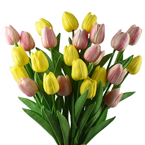 Pink and Yellow 24