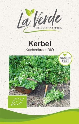 Kerbel BIO Kräutersamen