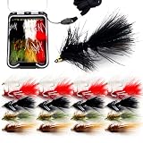 Ghanneey 20Pcs Fly Fishing Dry Flies Lures Woolly Bugger Streamer Fishing Lures Bass Lure Fly Assort