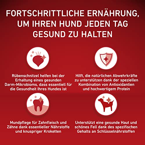 Purina Hundefutter ONE Mini/Small Adult Trockenfutter für kleine Hunde