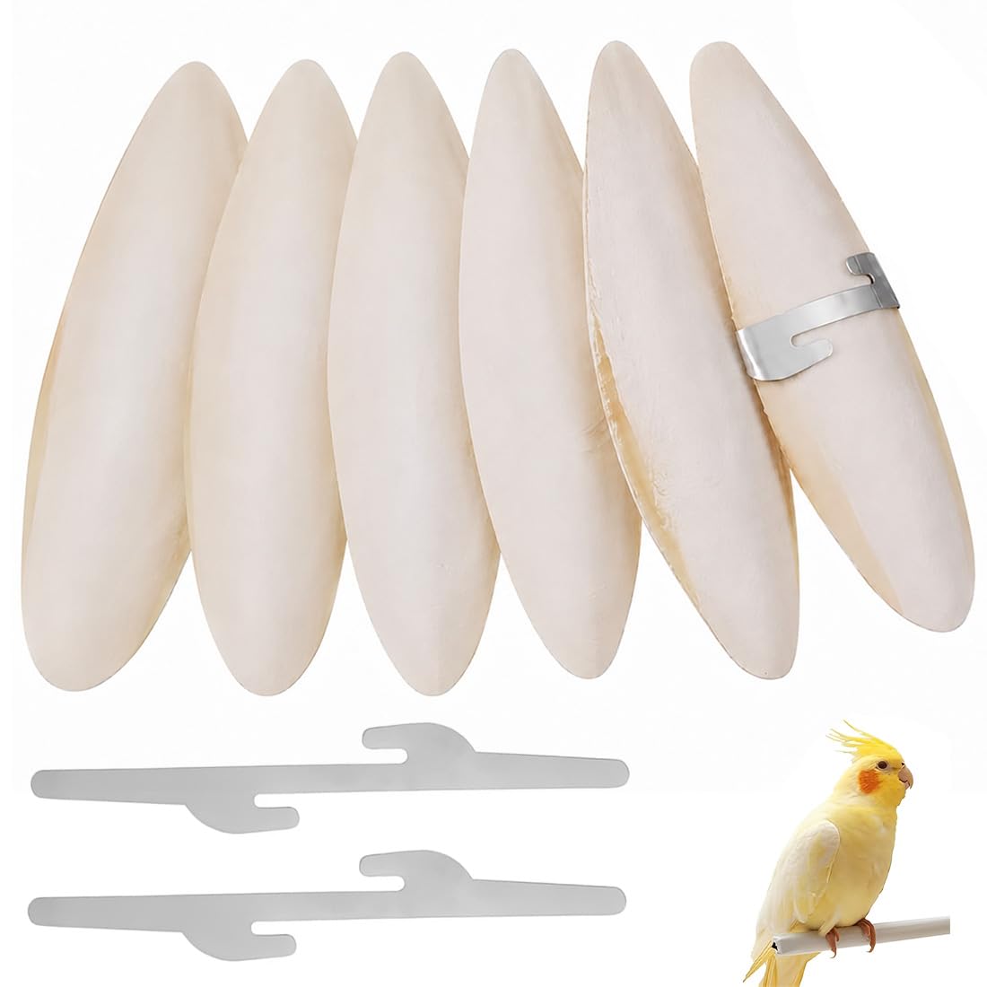 KYLOS 6 Pezzi Osso Di Seppia Per Pappagalli + 2 Supporti Metallo, 7-9Cm Taglia, Giallo, Masticabile Per Uccelli Tartarughe