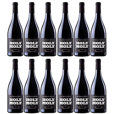 Markus Schneider Holy Molly Syrah Rotwein deutscher Wein trocken Pfalz Cover