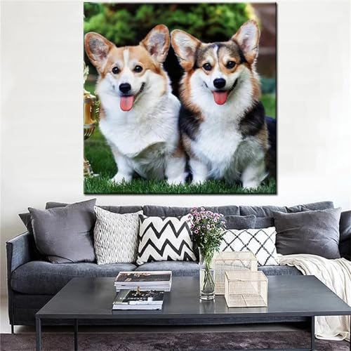 Are corgis nice dogs