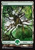 Magic The Gathering - Forest (273) (273/274) - Battle for Zendikar