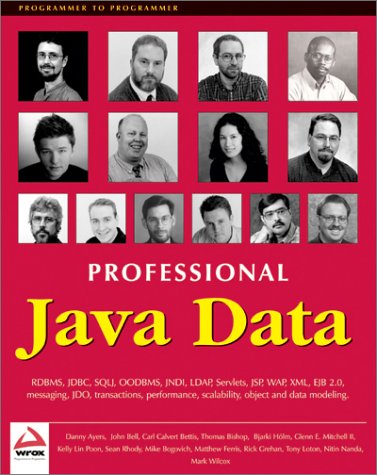 Professional Java Data (Programmer to Programmer)