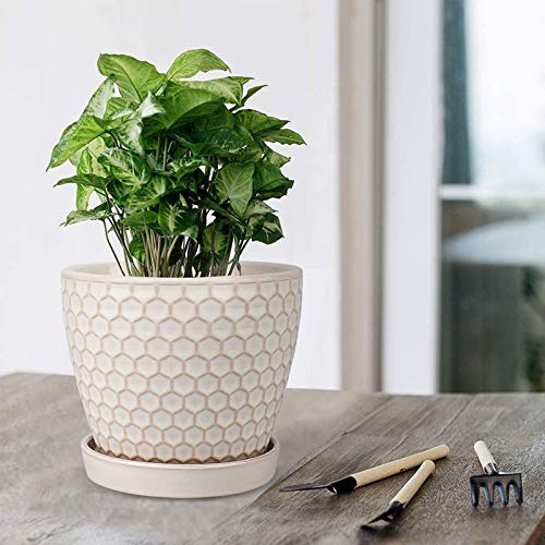 Docrin Plant Pots Indoor- 6.6 And 5.5 Inch,Ceramic Planters With Drainage Holes And Saucer For Succulent, Flower And Plant, Gardening Decoration,Indoor,Set Of 2, Gifts For Mom,Milky White，Honeycomb #TOP5
