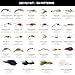 Premium Fly Fishing Kits – 64, 152 & 268 Count Fly Sets with Boxes – Essential Fly Fishing Accessories & Gear – Flies for Trout Bass Panfish & Freshwater – All-Water Fly Assortment (152)