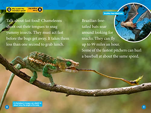 Animal Superpowers (National Geographic Kids Readers, Level 2) - Image 2