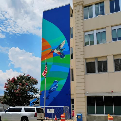 Art and Connection in the Scenic City, with Kate Kirnie