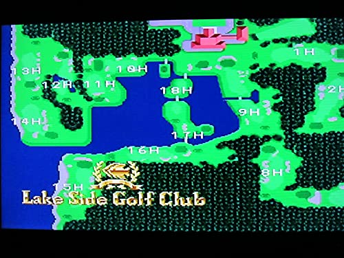 芹沢信雄のバーディートライの関連画像3