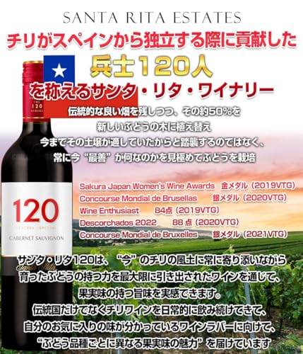 大人の至高屋 赤ワインセット チリ産フルボディ