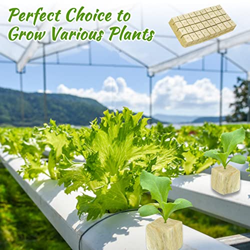 Legigo Rockwool Starter Plugs- Rockwool Grow Cubes Rock Wool Seed Starters Cloning Cubes, Rock Wool Planting Cubes for Hydroponics, Cuttings, Soilless Culture, Plant Propagation(1"- 300 Plugs Total)