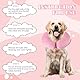 Aufblasbare Halskrause Hund Einstellbar Hundekragen Leckschutz Schutzkragen Hundehalskrause Weich Halskragen Hunde der die Sicht Nicht Blockiert für Genesung nach Operationen oder Wunden Rosa M