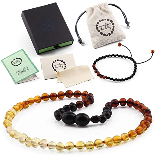 Amber Buddy Baltic Amber Necklace - Baroque Rainbow Colour Glossy Polished - 100% Certified Genuine Baltic Amber Necklace - Premium Quality Perfect for Gift | ~12.5-13 inches long