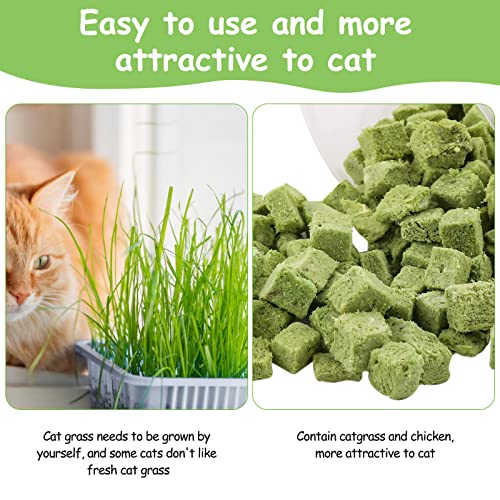 Havenfly Katzengras Snack,120g Gefriergetrocknet Snacks für Katzen für die Zahnpflege und Haarknäuel Entfernen, Katzenminze