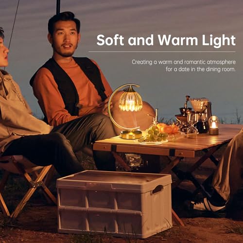 Shenmoyl Set of 2 Tulip Table Lamp, 5200mAh Cordless Touch Control Table Lamp with 3 Color Temps & Stepless Dimming, Rechargeable Battery Table Lamp for Living Room, Bedroom, Shelf (Amber Tulip) by Shenmoyl - Used condition - Image 8