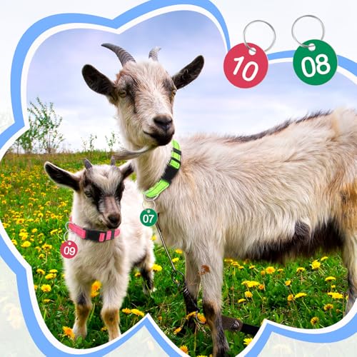 Image of Foilswirl 12 Pack Goat Collars with Number Tag Adjustable Nylon Livestock Collar with No. 01-12 ID Number Tags Sheep Collars Set for Small Livestock Farm Animal Goat Sheep Cow (Reflective)