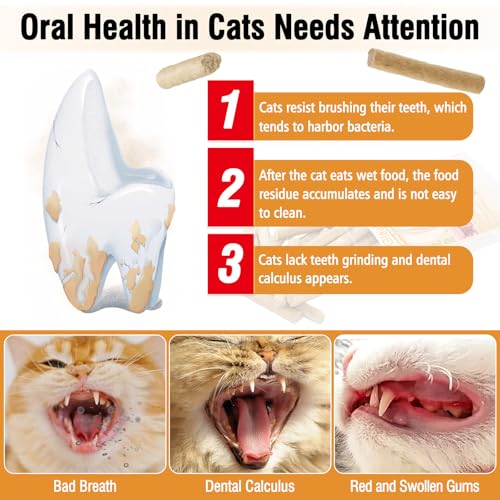 50g Gefriergetrocknete Kausnackstab für Katzen, Zahnpflege-Snacks Kausticks für Katzen für Gegen Mundgeruch und Zahnstein