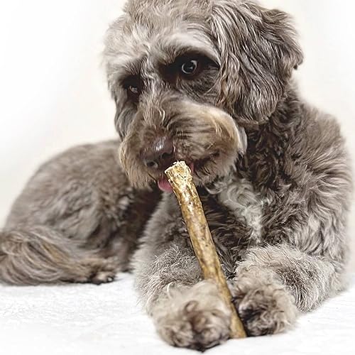 DOGBOSS 100% Natur Kaustangen 100% Hirschhaut oder 100% Pferdehaut, 10 Stück x 15 cm (10er 100% Hirschhaut)