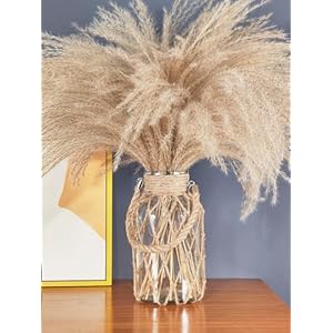 Pampas grass vase boho home decor for bedroomliving roomcoffee tableentrywayofficehouse fall farmhouse decor glass vase with hand woven hemp rope room decor aesthetic modern home  urban country home decor
