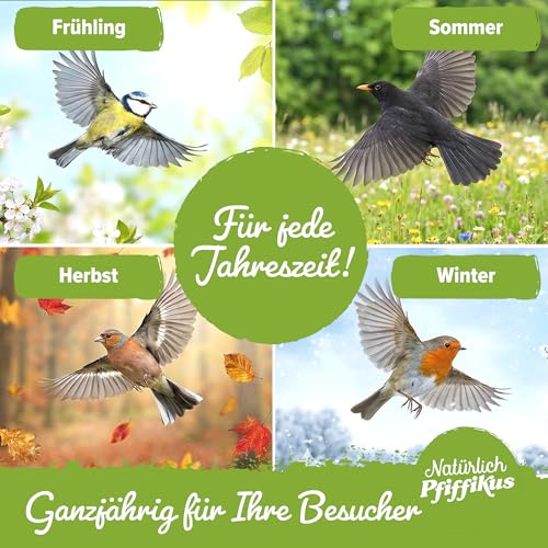 Natürlich Pfiffikus Vogel-Buffet – Fettfutterblock mit Insektenfett für Wildvögel – Vogelfutter Fettblock proteinreiches Ganzjahresfutter– nachhaltig & CO₂-sparend – Energiekuchen für Wildvögel