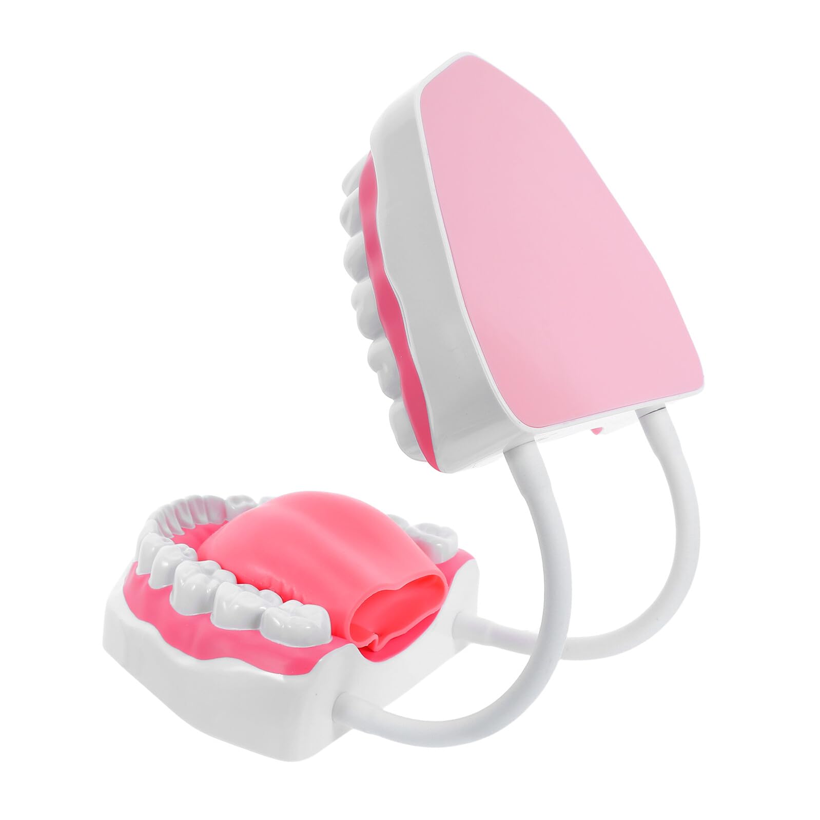 Modello di Denti Adulto in Plastica PVC 6X Ingrandito per Formazione Igiene Orale Didattica con Supporto Portatile per Scuole Cliniche e Studio Odontoiatrico