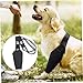 KUYYFDS Dog Leg Sleeve, Abrasion Resistant Dog Recovery Suit, Back Leg Recovery Sleeve Waterproof Diving Material Suit to Stop Licking and Biting Firm and Secure