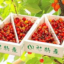 Yamagata Prefecture Roji Home Cherry Sato Nishiki Bulk Stuffed 4.4 lbs (2 kg), Medium Size