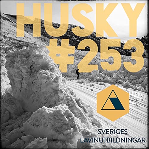 Panelsamtal om riskbed&ouml;mning och beslutsfattande i lavinterr&auml;ng med Sveriges Lavinutbildningar, #253