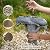 Goodeco Meditating Yoga Frog Statue - 12.5" Lx10 H for Home, Garden & Gifts