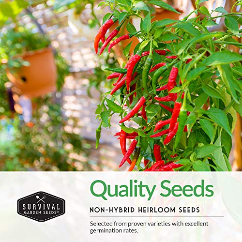 Hot Pepper Seeds Variety Pack for Planting | 4 Varieties: Jalapeno, Serrano, Cayenne & Habanero – Spicy Heirloom Chili Peppers for Hot Sauce & Salsa – Non-GMO – Survival Garden Seeds - Image 3