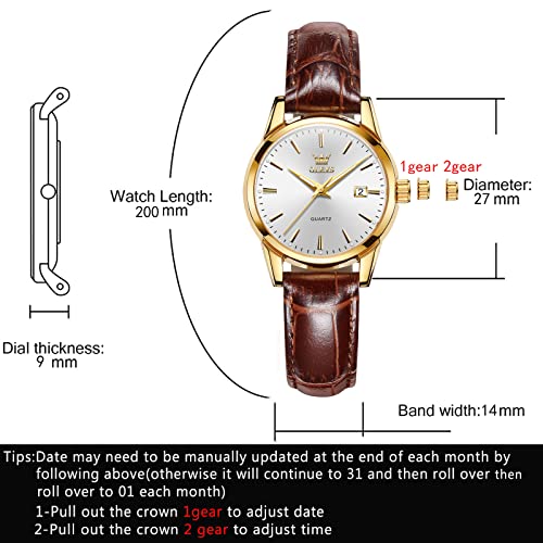 Elegant Brown Leather Women's Quartz Watch with Small Gold and White Dial, Waterproof Date Feature, Perfect for Casual and Dress Occasions - Image 6