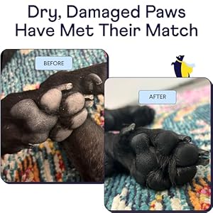 Finn Paw Hero | Natural Revitalizing Dog Paw Balm | Protect, Nourish & Repair Paws from Pavement, Dryness, & Spring Adventures - 1.75 oz Finn Paw Hero | Natural Revitalizing Dog Paw Balm | Protect, Nourish & Repair Paws from Pavement, Dryness, & Spring Adventures – 1.75 oz